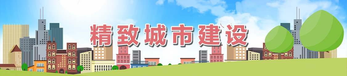 精致城市建設