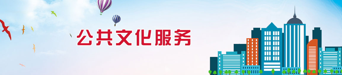 公共文化服務(wù)